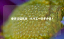 市场价格调查：水电工一天多少钱？