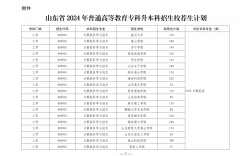 山东省2024年专升本人数预测