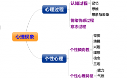 心理学研究对象