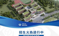 职校是什么学校