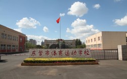 东营市学校安全教育平台 （附入口+流程）