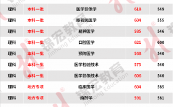 川北医学院2024各专业录取分数线