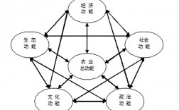 社会功能是什么意思(社会功能包括哪四个方面)