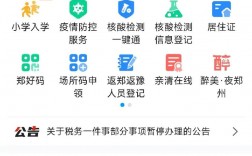 幼升小怎么网上报名(幼升小学一年级报名网)