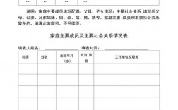 主要社会关系成员怎么填写