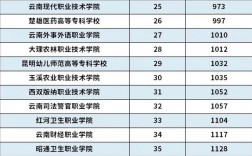 云南专科学校排名前十公办(云南省公立大专学校有哪些)