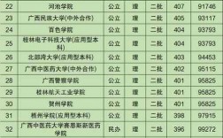 广西二本大学有哪些学校？如何申请入学？