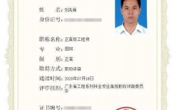 正高级工程师是什么级别