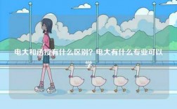 电大和函授有什么区别？电大有什么专业可以学