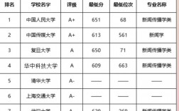 新闻学专业大学排名(新闻学专业可以考公务员吗)