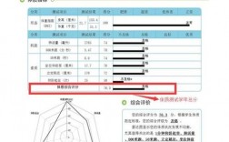 全国大学生体测查询系统(智慧体育管理系统)