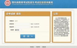 四川省教育考试院官网自考(成人本科)