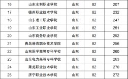 山东专科学校排名(山东十大最好的职业院校)