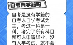 自考报考了不去考试有什么影响(自考报了名不去考会怎么样)