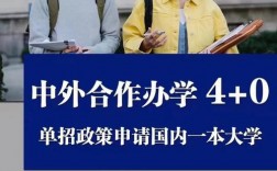 中外合作办学3 1有哪些学校(中外合作办学一览表最新)