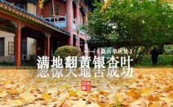 南京师范大学随园校区地址是什么？如何查询？