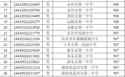 南华大学录取分数线2024