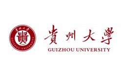 贵州大学是211吗(211大学有哪些优势)