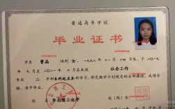 学历大专女孩适合考什么证(大专证查询)