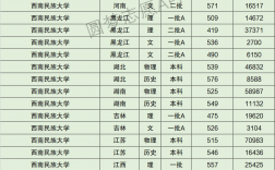 西南民族大学属于什么档次