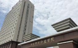 武汉财税职业学院(郑州财税金融2024单招简章)