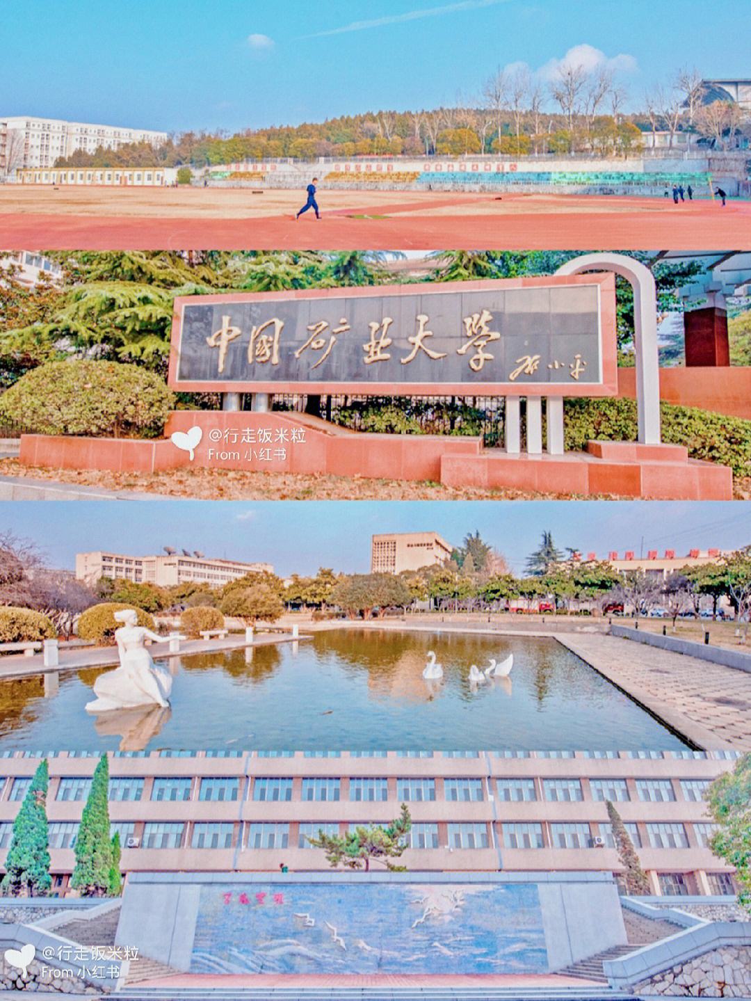 cumt是哪个大学(中国矿业大学有哪些学院)-图1