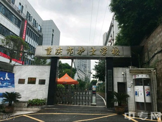 学护理去哪个学校最好(护理学最吃香的三个专业)-图1