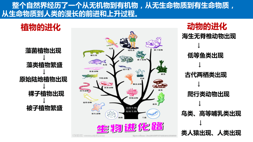 世界是可以被认识的认识是什么过程-图1