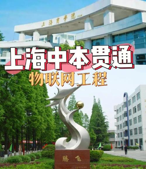 中本贯通上海有哪些学校(中本贯通属于什么学历)-图1