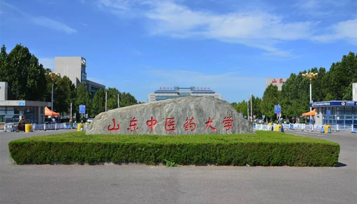 山东中医药大学怎么样(中医最容易移民的国家)-图1