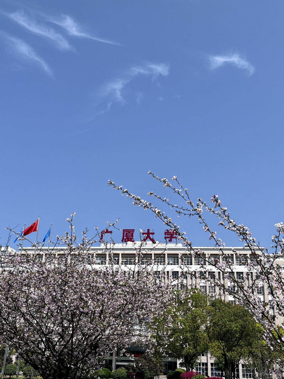 浙江广厦职业技术学院(浙江最好的十所大专)-图1