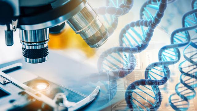 生物医学工程又难又冷门(生物医学工程最好的大学)-图1