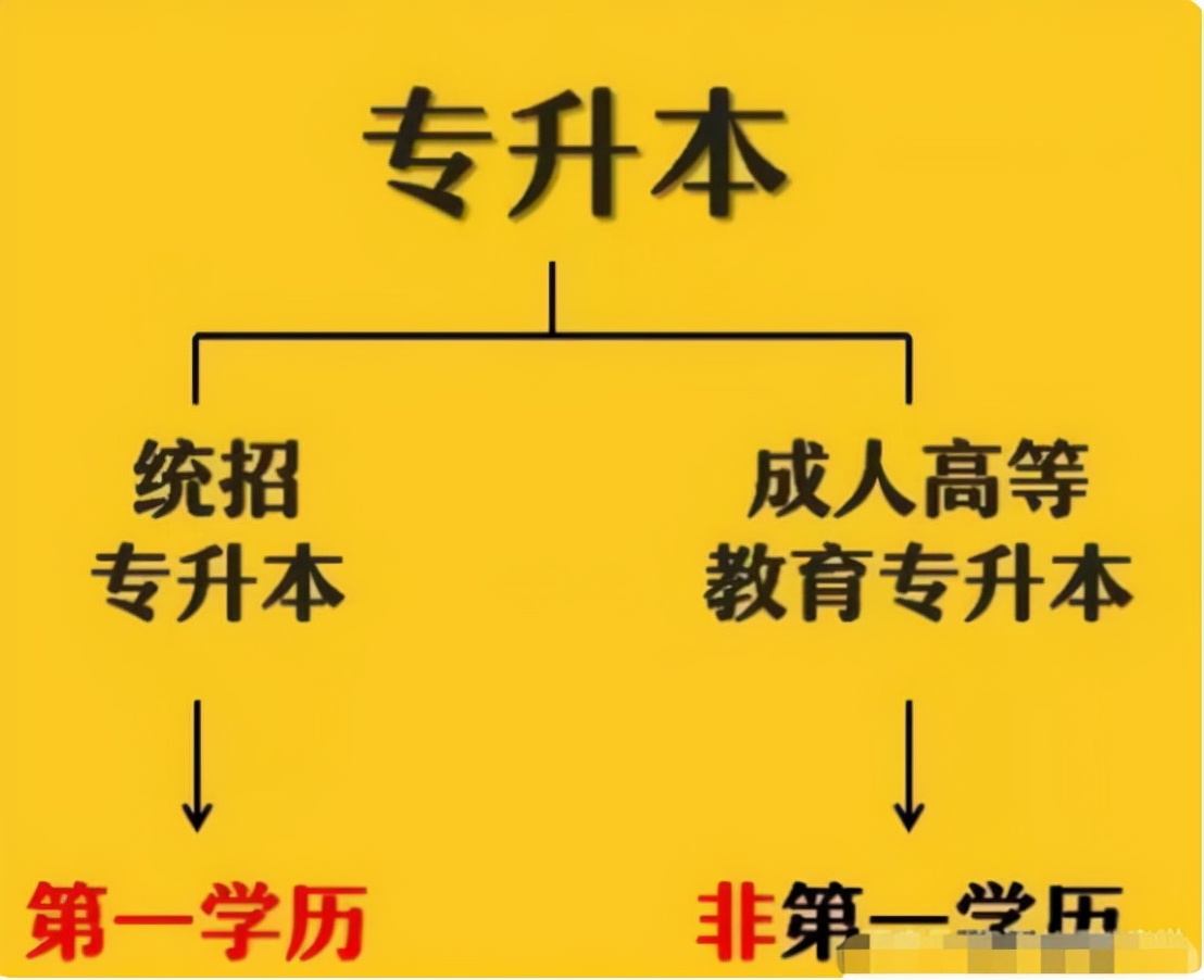 本科是什么意思(自考大专报名官网入口)-图1