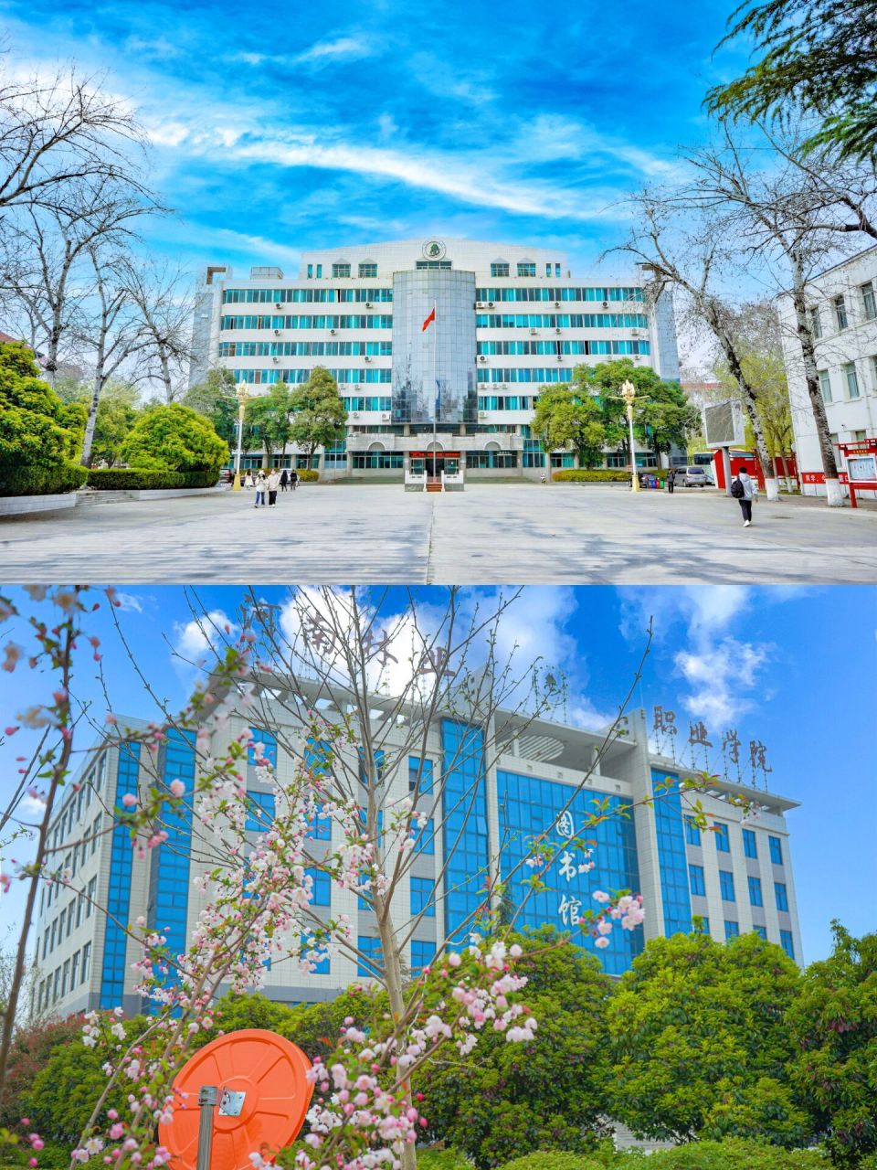 河南林业学院(洛阳林业大学是大专吗)-图1