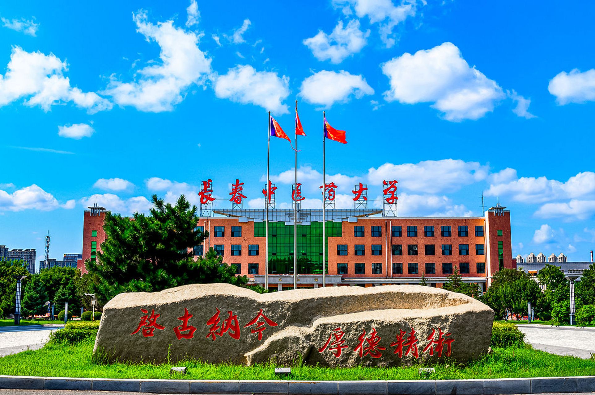 长春市中医药大学(国内中医药大学排名)-图1