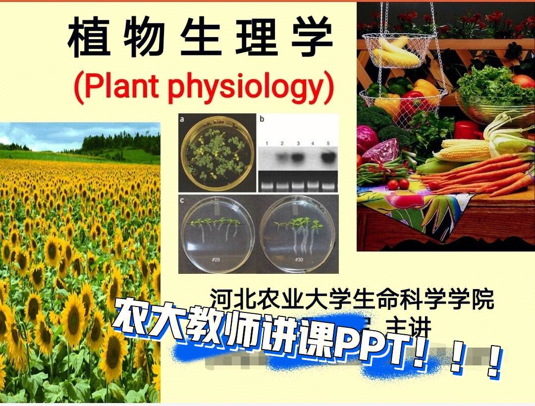 植物学考研就业前景(植物学考研有哪些科目)-图1