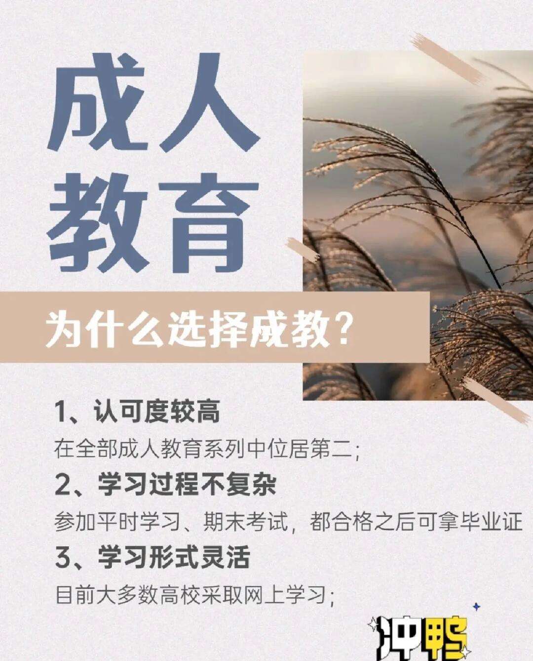 成教(初中文凭怎么报考成人大专)-图1