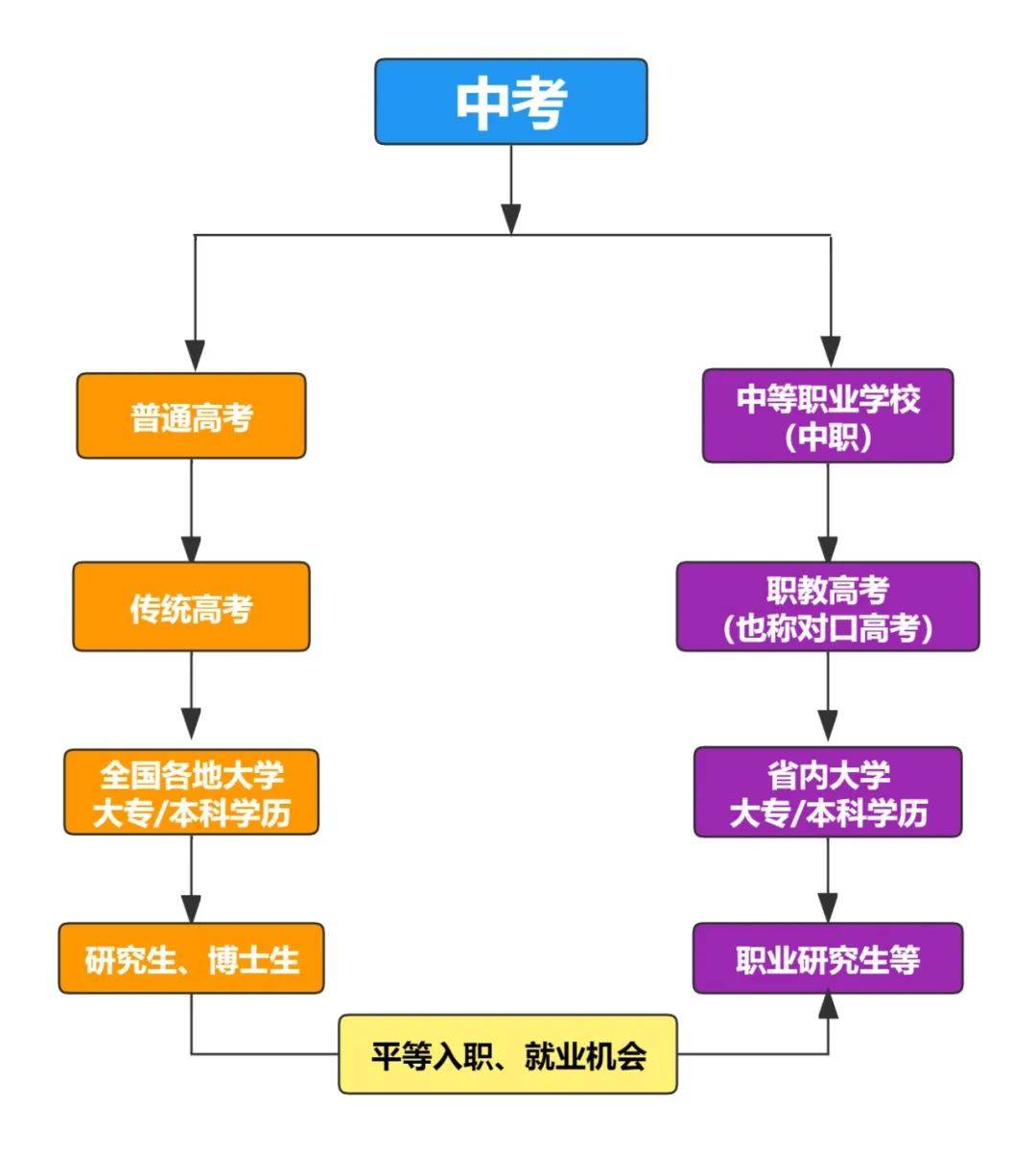 上全日制大专的途径(怎么报考全日制大专)-图1