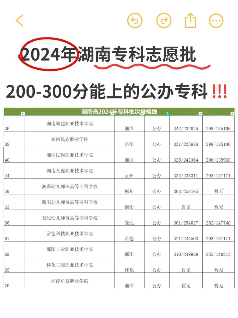 300分左右的大专学校(300分稳上的公办大专有哪些)-图1