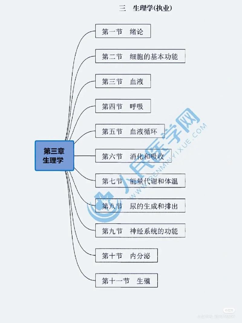 临床医学基础知识(临床医学常考知识点总结)-图1