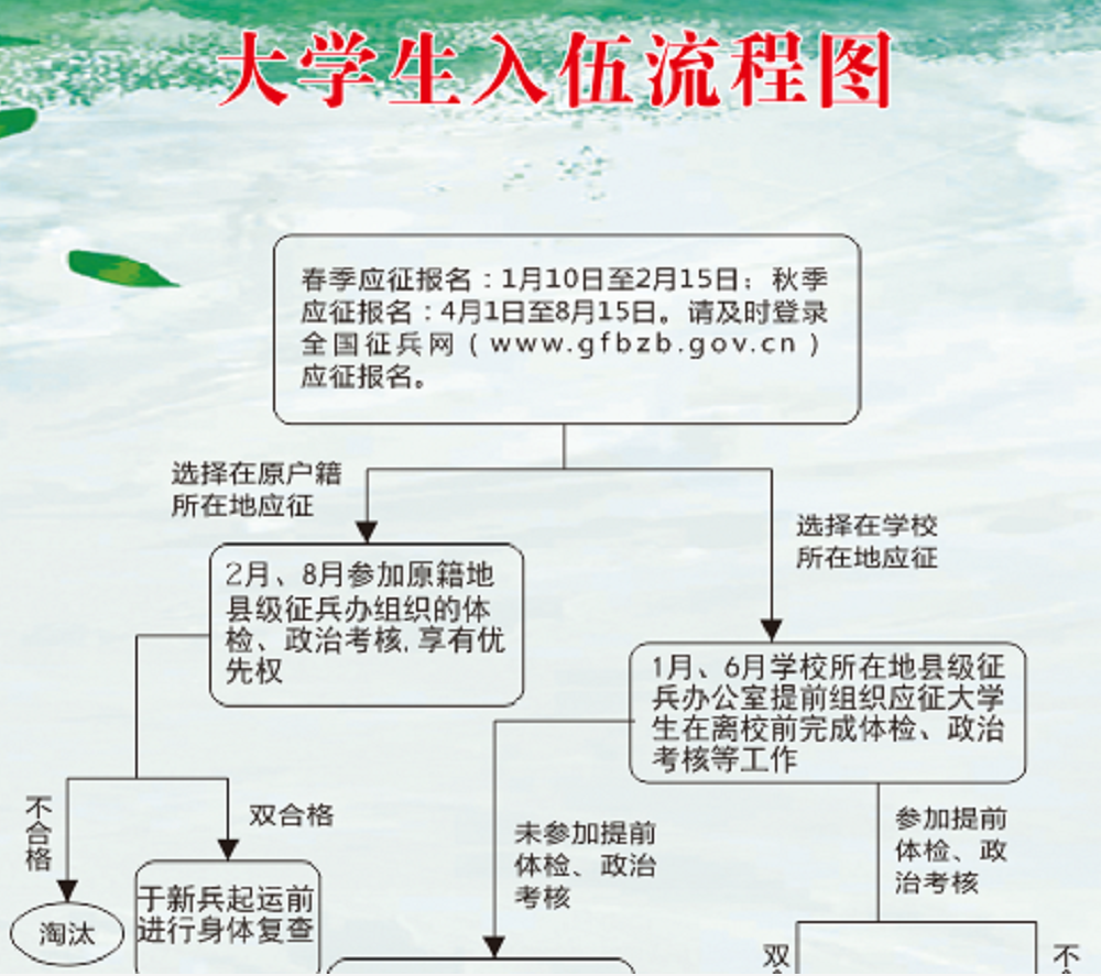 大学生入伍流程(大学生从学校当兵流程)-图1