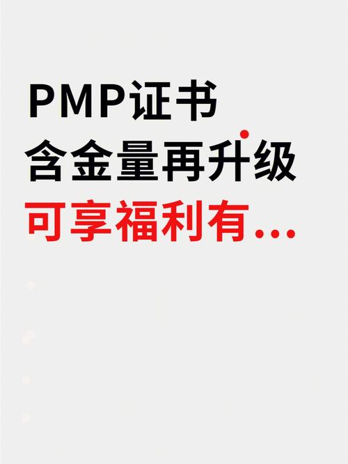 pmp含金量(pmp证书报考条件要求)-图1