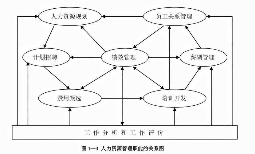 人力资源管理的基本职能(人力资源管理工作内容)-图1