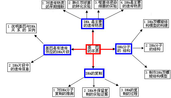 基因的化学本质(基因合成的原理)-图1