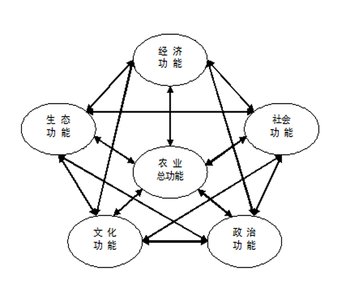 社会功能是什么意思(社会功能包括哪四个方面)-图1