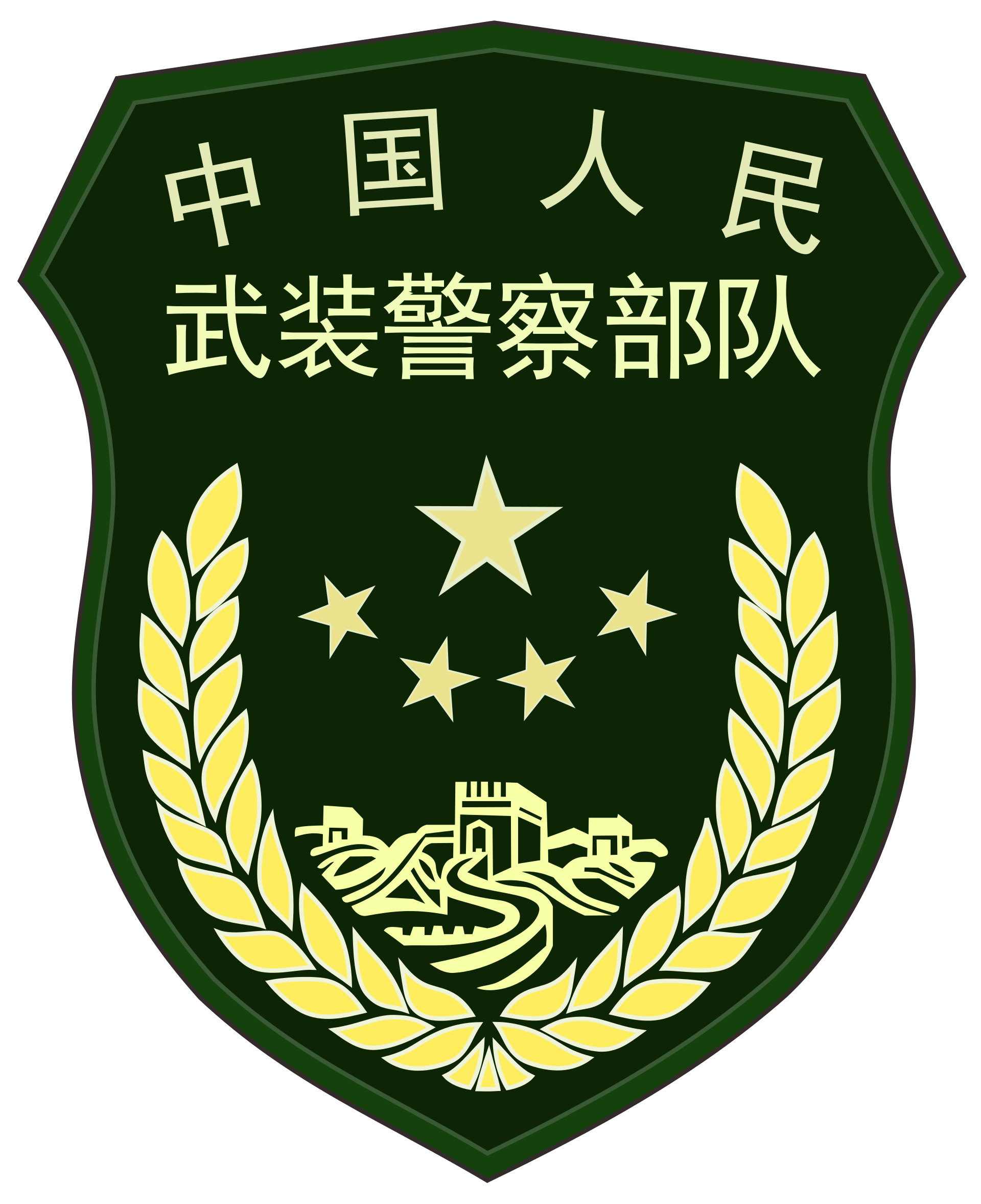 特警和武警哪个级别高(特警招聘条件)-图1