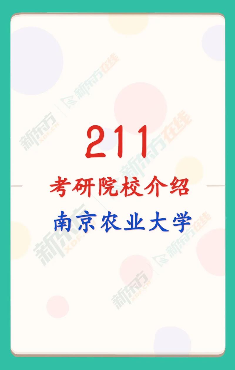 南农是什么档次的211(大学排行榜)-图1