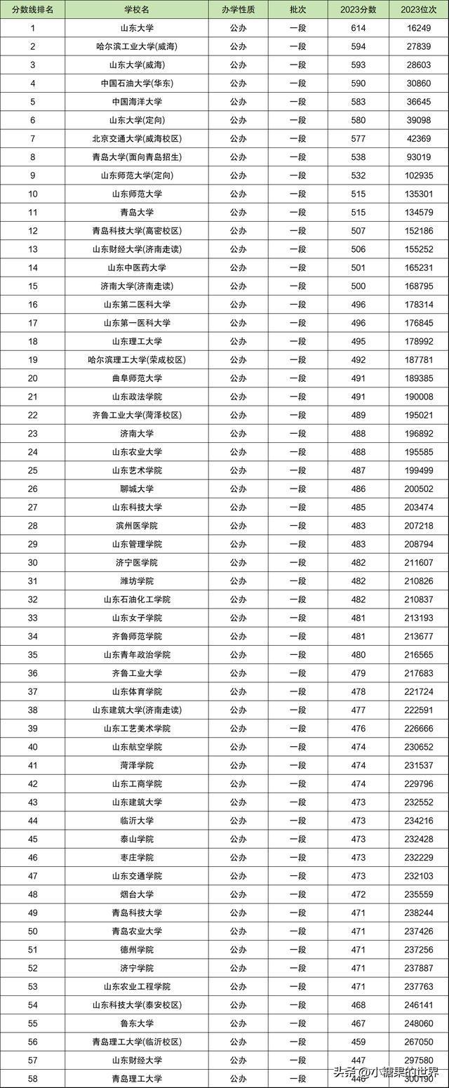 山东省最低分的二本公办大学(中国传媒大学2+2国际本科)-图1