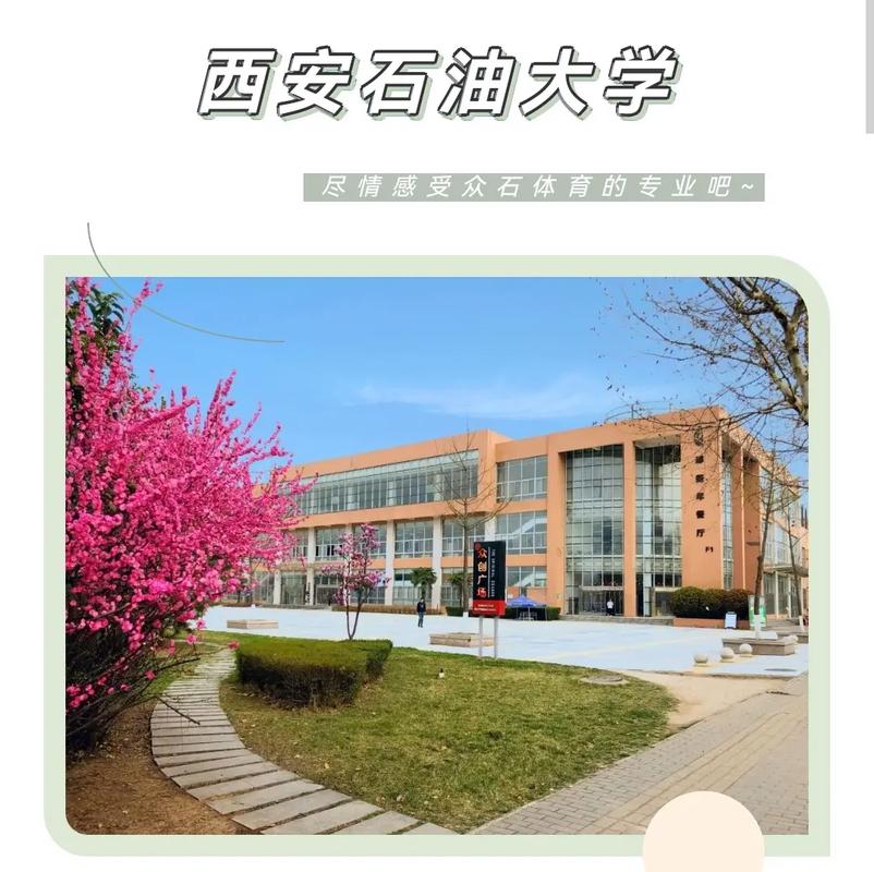 西安石油大学是几本-图1