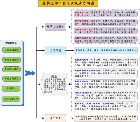 生物工程专业就业方向及前景-图1